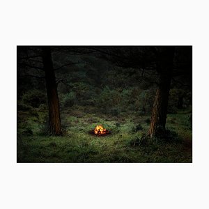 Fires 4, Ellie Davies, Photographie Contemporaine, Images de la Forêt, 2018