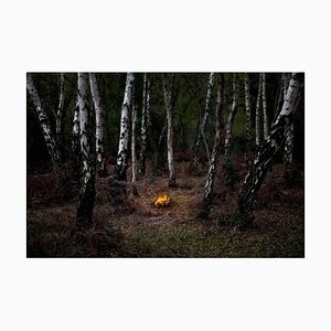 Fires 6, Ellie Davies, fotografía conceptual, imágenes de bosque, 2018