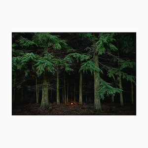 Incendios 7, Ellie Davies, 2018