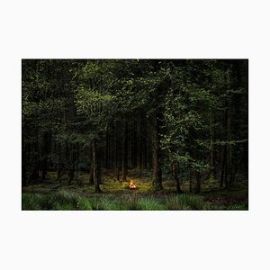 Fires 8, Ellie Davies, fotografía conceptual, 2018