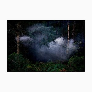 Between the Trees 7, Ellie Davies, Fotografía, 2014