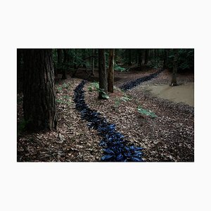 Ven conmigo 1, Ellie Davies, 2011