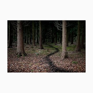 Come With Me 5, Ellie Davies, Photographie, Britannique, 2011