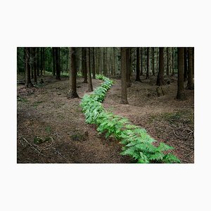 Ven conmigo 7, Ellie Davies, 2011
