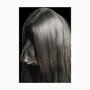 Chicos Cabello, Retratos, Perros