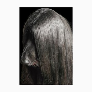 Chicos Hair, Portraiture, Dogs