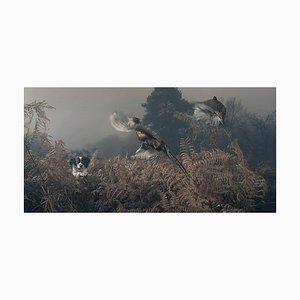 Penny Working the Bracken, Landscape Photograph