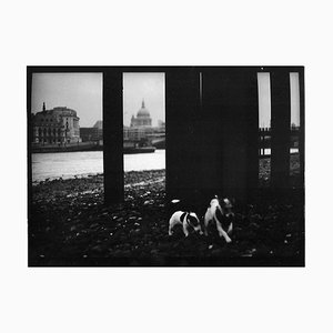 Sin título # 21, Dogs St. Pauls From Eternal London, Giacomo Brunelli, 2013