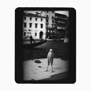 Sans titre, Heron Venice, Giacomo Brunelli, Travel Photography, 2007