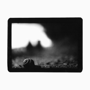 Caracol, Foto, Giacomo Brunelli, 2005-2009