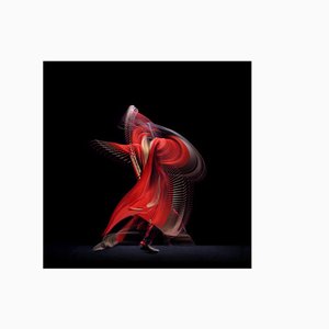 Abstract Dancers, Red 3, 2019, Photograph