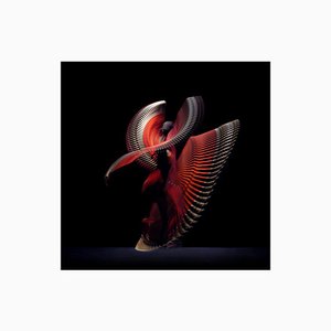Bailarines abstractos, Rojo 7, 2019, Fotografía, 2019