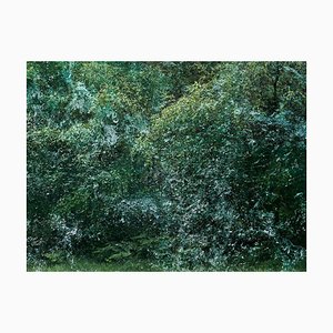 Seascapes 6, Ellie Davies, paesaggio inglese, foresta