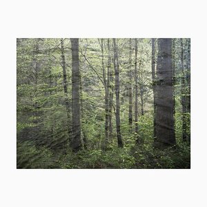 Paisajes Marinos 5, Ellie Davies, Fotografía, Arte Británico, Paisajes