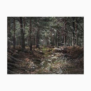 Paisajes marinos 1, Ellie Davies, Fotografía, Paisaje británico, Agua 2020