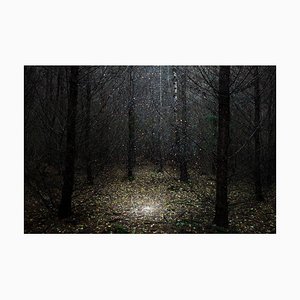 Estrellas 1, Ellie Davies, Fotografía británica, 2014