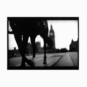 Untitled #8, Horse Westminster Bridge von Eternal London, Giacomo Brunelli, 2012