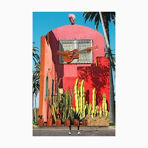 Plaque No. 355, Abstrait, Collage, Guitare, Cactus
