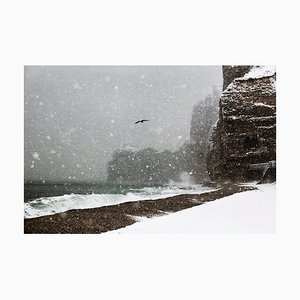 La Mouette, Christophe Jacrot, Bord de mer, Photographie de voyage