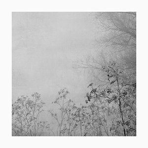 Blanco 8, Fotografia naturalistica, 2010