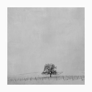 Blanco 1, Paisaje blanco, Paisaje nevado, 2010