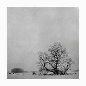 Blanco 7, Winter Imery, 2010