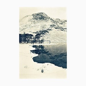 Pinos Buttermere, fotografía, invierno, 1996