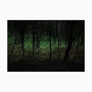 Estrellas 4, Ellie Davies, Fotografía, Paisaje, 2014