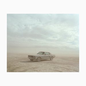 Mustang, El Mirage, California, fotografía de viaje, 2007