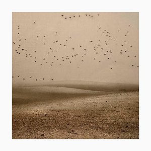 Mirando al Cielo 15, Rosa Basurto, Fotografia di paesaggio