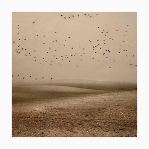 Mirando al Cielo 15, Rosa Basurto, Photographie de Paysage