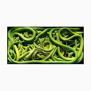 Serpientes verdes ásperas, fotografía británica, naturaleza