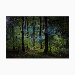 Estrellas 9, Ellie Davies, Fotografía, 2014