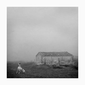 Blanco 6, Paysage Blanc, Scène de Neige