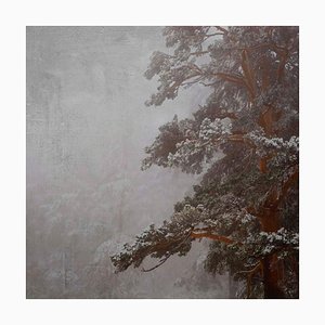 Rosa Basurto, Blanco 5, Landscape Photograph