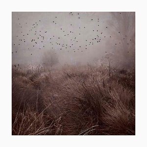 Mirando al Cielo 2, Rosa Basurto, Fotografia di campagna