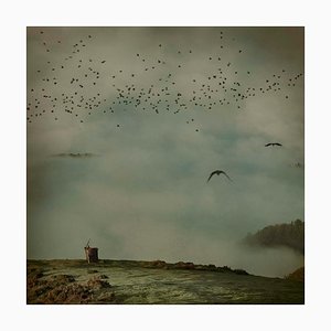 Mirando al Cielo 8, Rosa Basurto, Fotografía de naturaleza