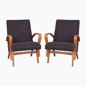 Tschechische Sessel, 1960er, 2er Set