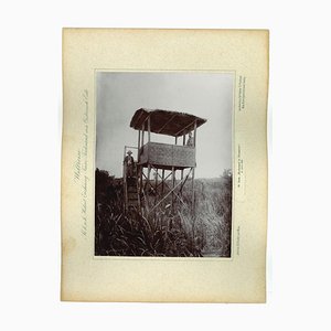 Desconocido, Java, High Stand in Ploembon, Original Photo vintage, 1893