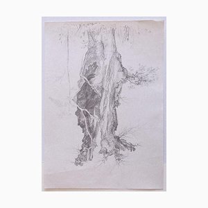 André Roland Brudieux, Tree, Pencil Drawing, 1970s