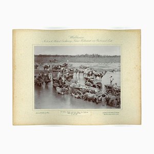 Unknown, Nepal, on the Way From Dakh-Na Bah to Barbara Valley, Vintage Photo, 1893