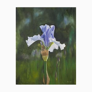 Blaue Spetchley Iris, 2019