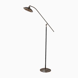 Mid-Century Adjustable Metal Floor Lamp with Mercury Shade
