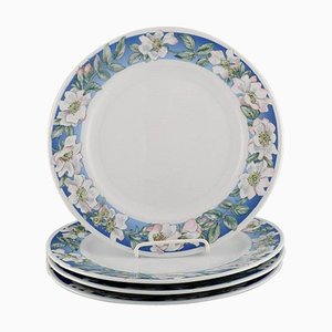 Royal Copenhagen White Rose Dinner Plates with Blue Border and White Flowers, Set of 4