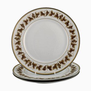 Platos grandes de porcelana de Limoges con vides pintadas a mano. Juego de 3