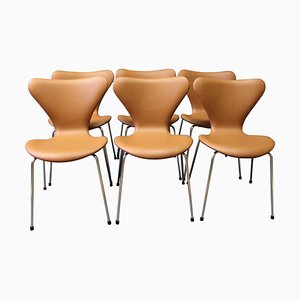 Sillas Series 7 modelo 3107 de Arne Jacobsen & Fritz Hansen. Juego de 6