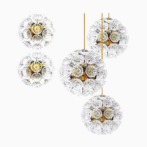 Lampade da parete con fiori Starburst di Together, Set of 5