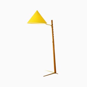 Viennese Floor Lamp with Brass Crow's Foot & Adjustable Lampshade by Rupert Nikoll