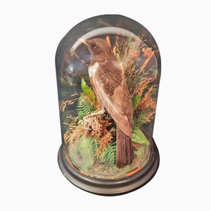 Globe de Mariage Napoléon III avec Oiseau