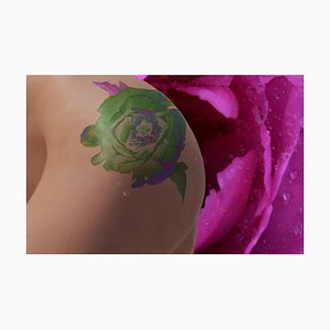 Tinta botánica (The Tattoo), 2015